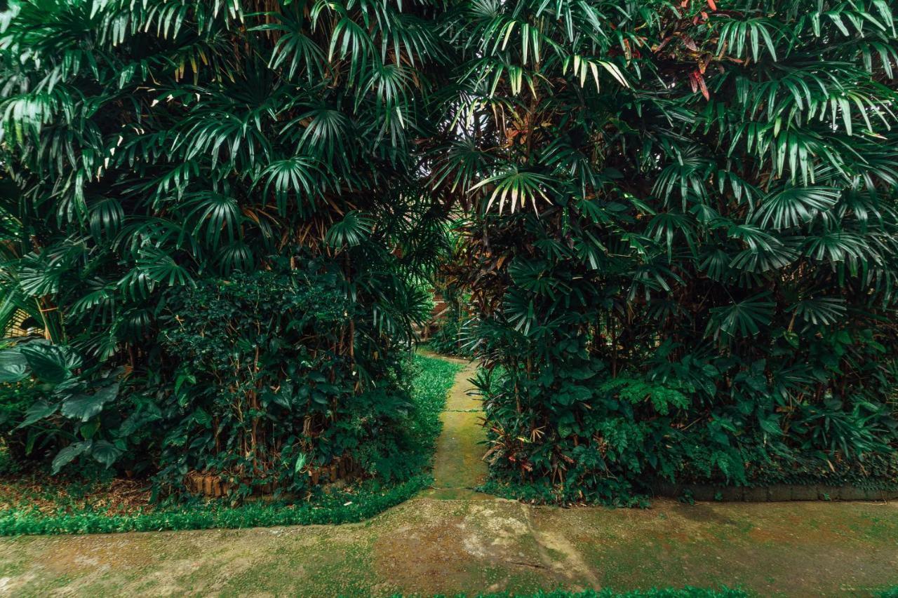 Suastika Lodge Ubud Zewnętrze zdjęcie